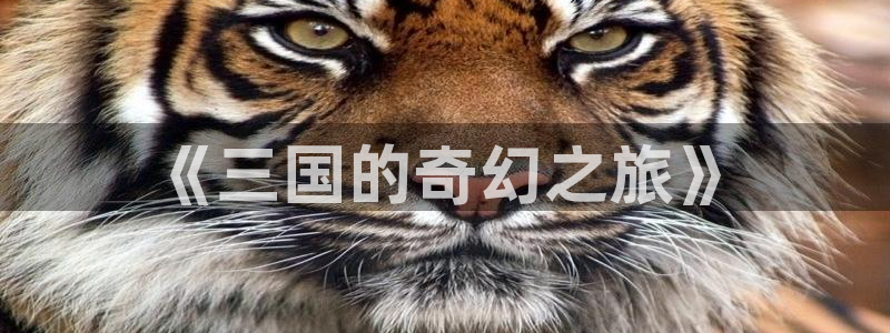 age动漫官方在线观看：《三国的奇幻之旅》