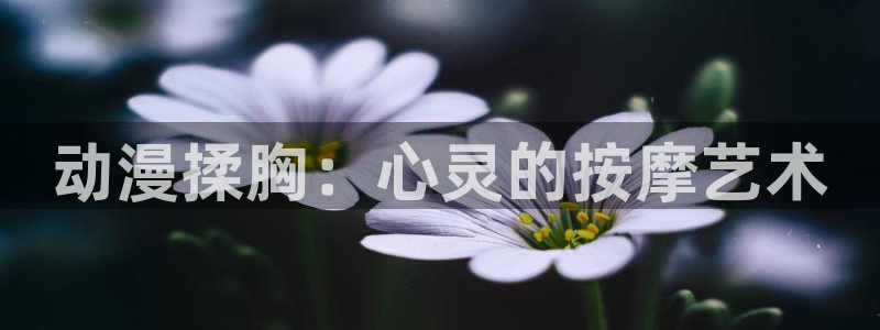 age动漫ios：动漫揉胸：心灵的按摩艺术