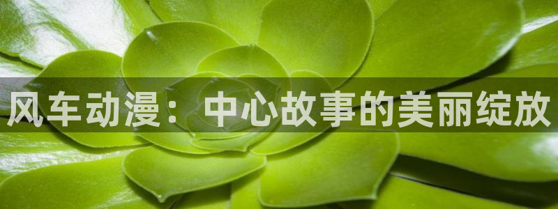 age动漫入口：风车动漫：中心故事的美丽绽放