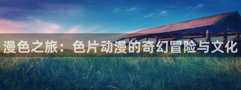 age动漫官网入口：漫色之旅：色片动漫的奇幻冒险与文化