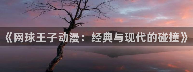 age动漫下载ios：《网球王子动漫：经典与现代的碰撞》