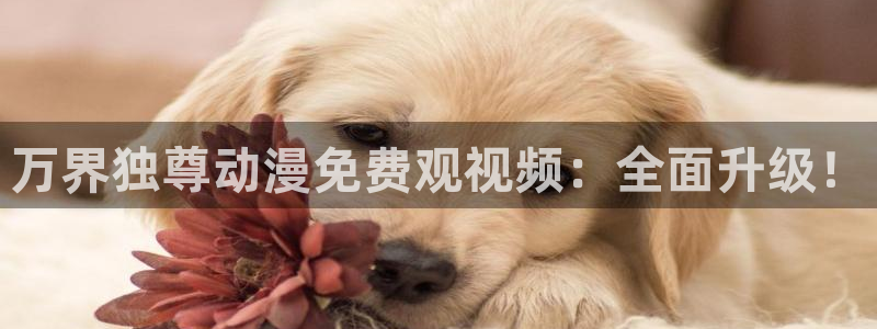 age动漫动：万界独尊动漫免费观视频：全面升级！