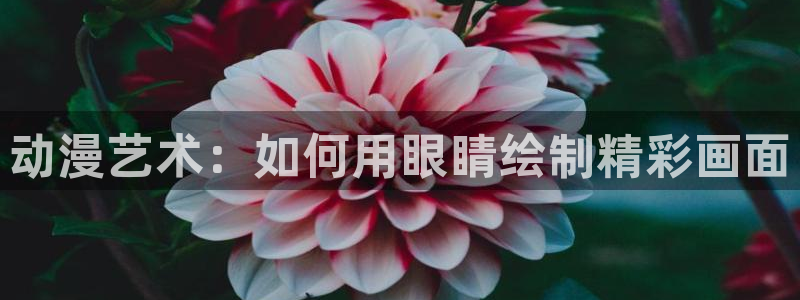 age动漫安装：动漫艺术：如何用眼睛绘制精彩画面